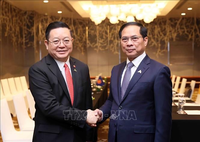 Deputy PM meets ASEAN Secretary General, Cambodian Deputy Prime Minister - ảnh 1