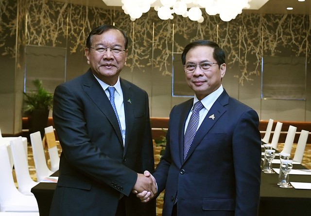 Deputy PM meets ASEAN Secretary General, Cambodian Deputy Prime Minister - ảnh 2