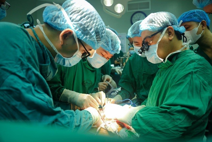 Vietnam’s healthcare sector grows on its groundbreaking achievements - ảnh 1