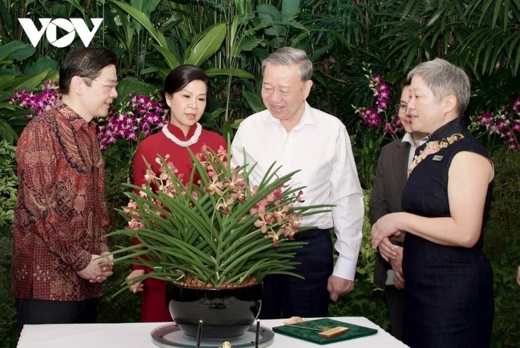 Singaporean orchid hybrid named in honour of Vietnamese Party chief, his spouse - ảnh 1