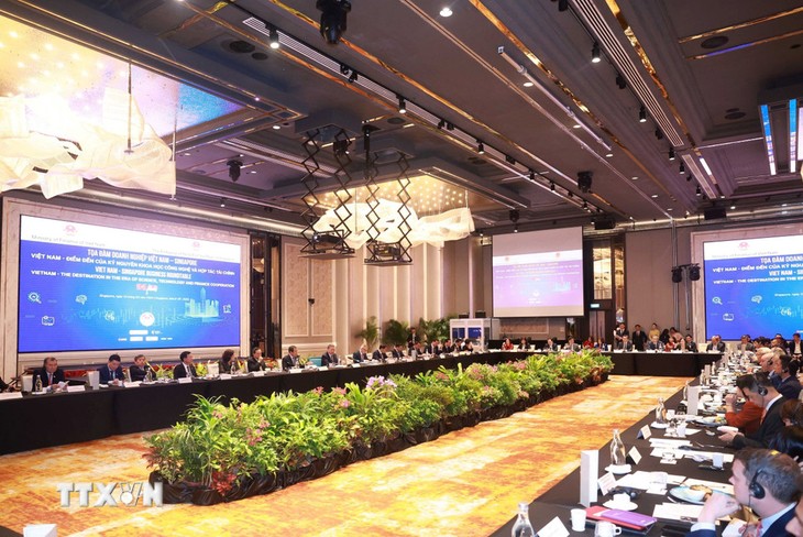 General Secretary To Lam attends Vietnam-Singapore Business Roundtable  - ảnh 2