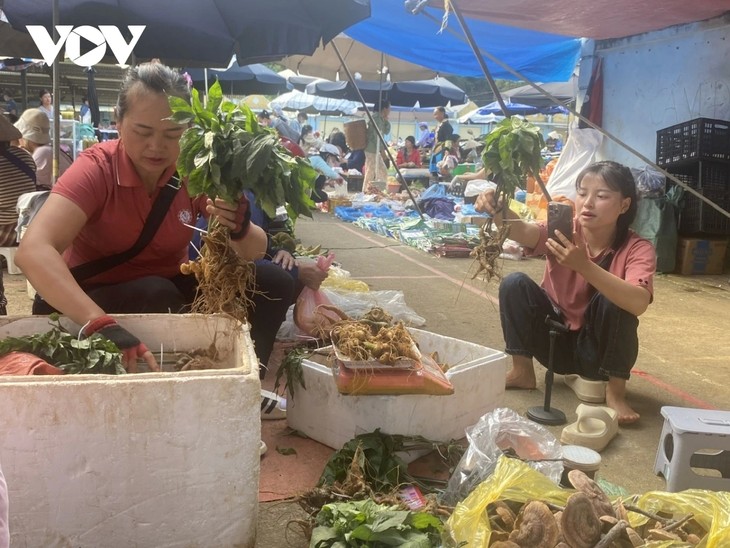 Digital tech sends Lai Chau’s mountain goods viral - ảnh 1