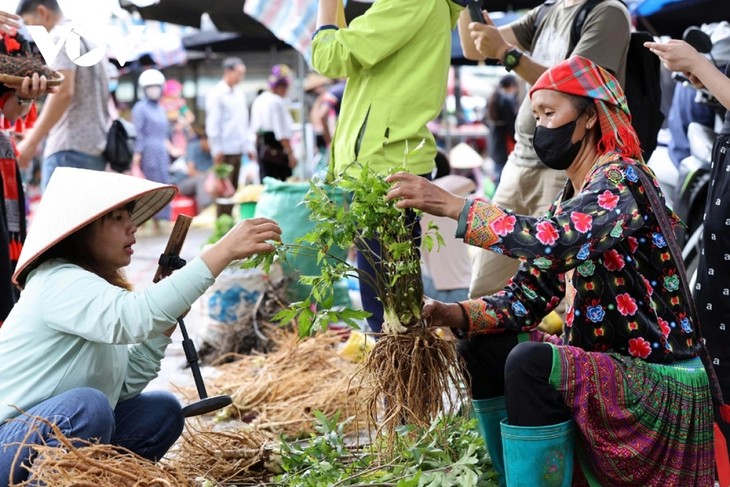 Digital tech sends Lai Chau’s mountain goods viral - ảnh 2