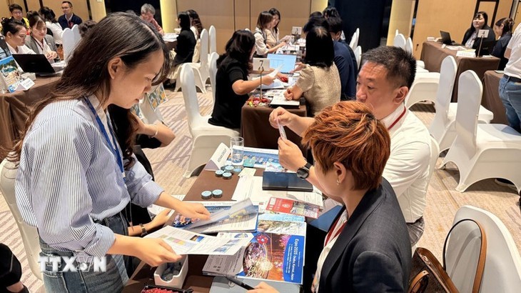 Vietnam, Japan strengthen tourism cooperation - ảnh 2