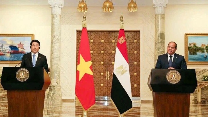 Vietnam, Egypt aim to raise bilateral trade to 1 billion USD - ảnh 1