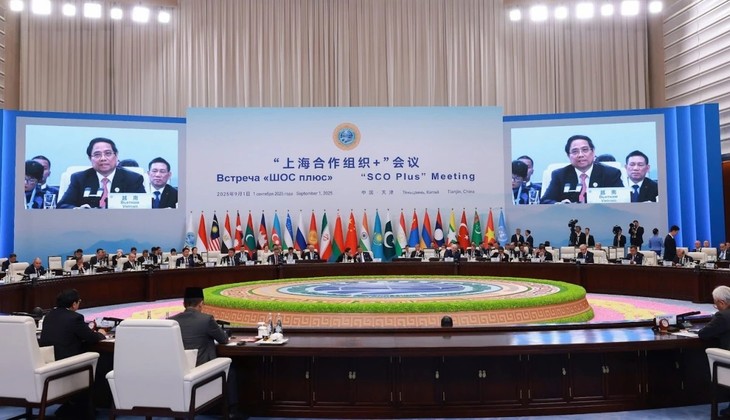 Vietnam supports stronger cooperation between SCO and international organizations - ảnh 2