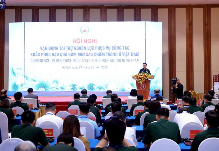 Vietnam enhances cooperation to mobilize resources for post-war mine clearance - ảnh 1