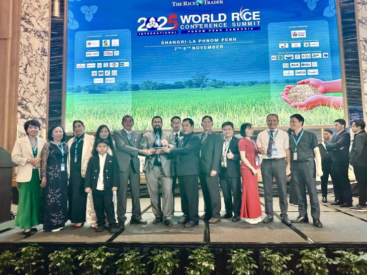 Vietnam’s ST25 rice brand Ong Cua wins World’s Best Rice Award for third time - ảnh 1