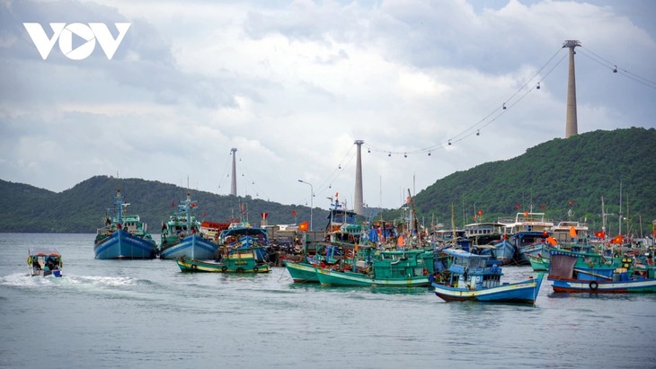 Phu Quoc steps up fight against IUU Fishing - ảnh 2