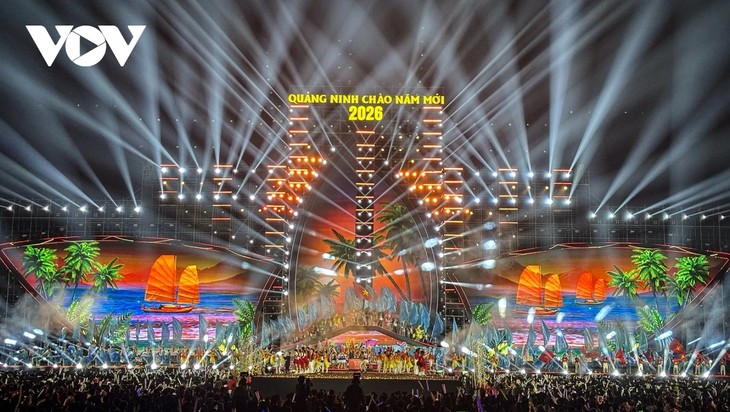 Mega concert held in Quang Ninh to celebrate National Party Congress - ảnh 1