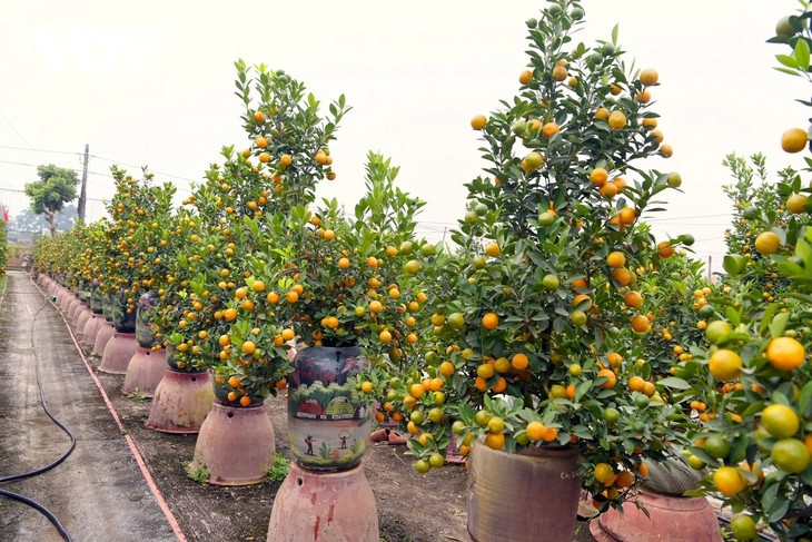 Wednesday January 21, 2026 - ảnh 2