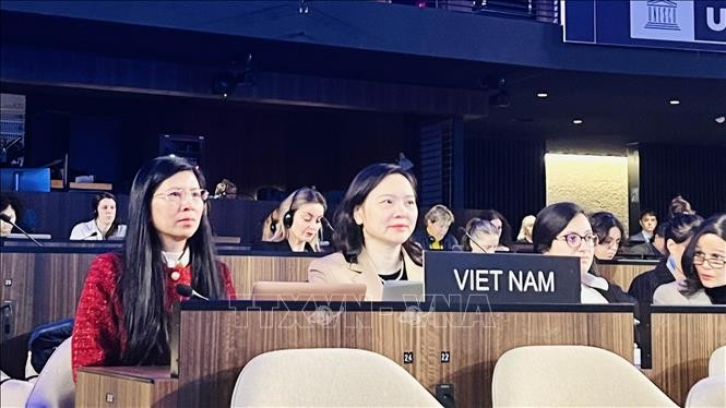 Vietnam calls on UNESCO to provide preferential treatment for developing countries - ảnh 1