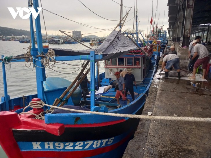 Fishermen celebrate a late but fulfilling Tet - ảnh 1