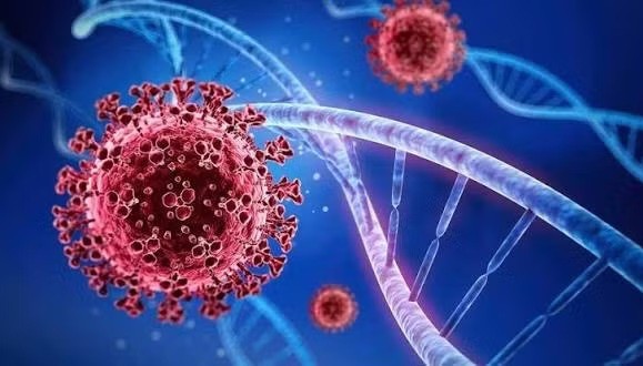 Health Ministry issues advisory on new SARS-CoV-2 variant - ảnh 1