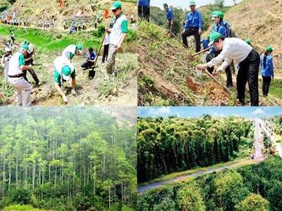 Hội thảo quốc tế chia sẻ kinh nghiệm giữa các tổ chức sản xuất rừng và trang trại - ảnh 1