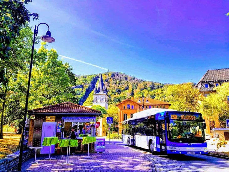 Người về từ Wernigerode - ảnh 6