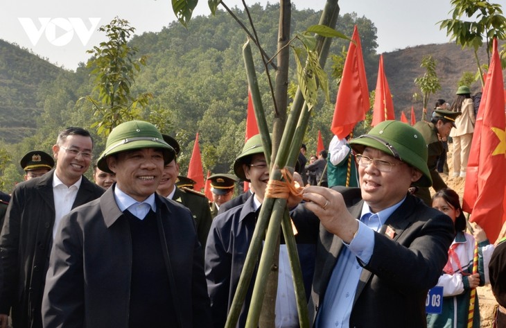 Chủ tịch Quốc hội: Những người trồng rừng phải sống được từ rừng và giàu lên từ rừng - ảnh 1