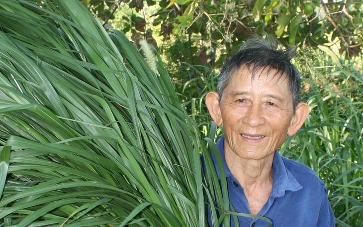 Cow-herd Ho Giao - Vietnam’s farming hero - ảnh 1