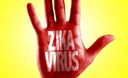 Latin America suffers about 4 billion USD in economic losses due to Zika - ảnh 1