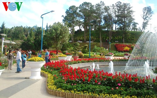 7th Da Lat Flower Festival opens - ảnh 1