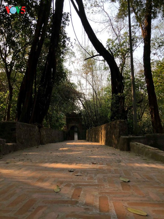 World’s oldest carved Buddhist Sutras on “thi” wood at Bo Da pagoda - ảnh 1