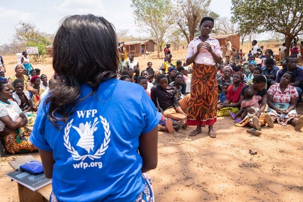 World Food Programme wins Nobel Peace Prize 2020 - ảnh 1