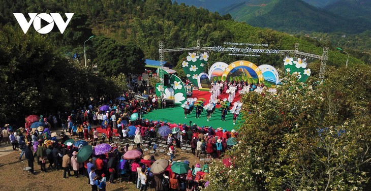 Binh Lieu in the white season of camellia oleifera  - ảnh 5