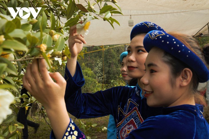 Binh Lieu in the white season of camellia oleifera  - ảnh 8