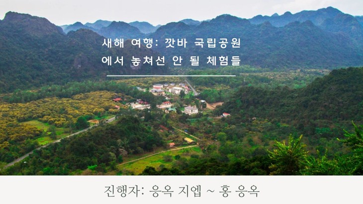 새해 여행: 깟바 국립공원에서 놓쳐선 안 될 체험들 - ảnh 1