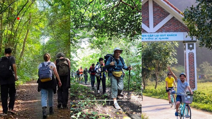 새해 여행: 깟바 국립공원에서 놓쳐선 안 될 체험들 - ảnh 5
