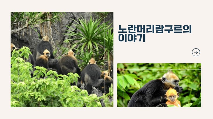 새해 여행: 깟바 국립공원에서 놓쳐선 안 될 체험들 - ảnh 3