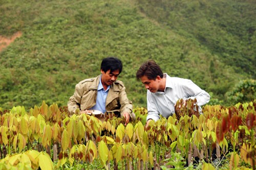 La comuna de Tay Giang construye su nuevo campo - ảnh 1