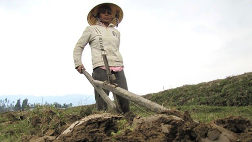  Ambiente de trabajo animado en Vietnam en inicios del Año nuevo lunar - ảnh 2