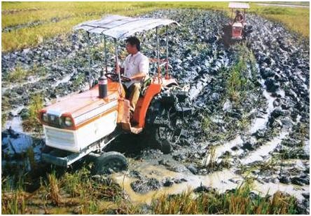 Propaganda sobre construcción de nuevo campo en Ninh Binh - ảnh 2