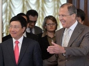 Vietnam y Rusia refuerzan relaciones de cooperación - ảnh 1