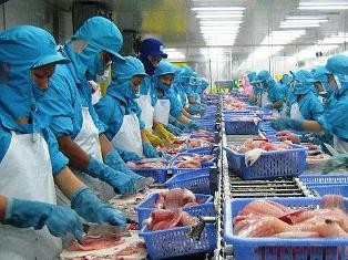 Empresas vietnamitas superan dificultades y reanudan su funcionamiento - ảnh 1