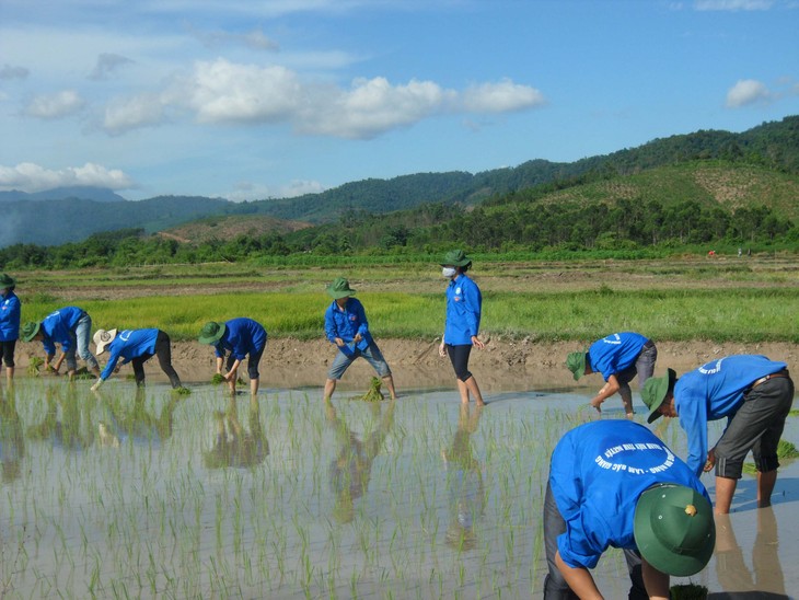 Jóvenes vietnamitas en desarrollo rural  - ảnh 2