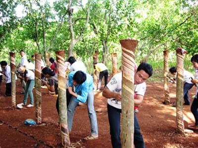 Ha Mon, un ejemplo en la construcción de nueva área rural  - ảnh 1