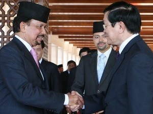 Vietnam y Brunei buscan elevar sus relaciones bilaterales a un nuevo nivel - ảnh 1