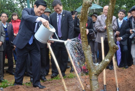 Presidente de Vietnam asiste a la fiesta cultural de étnicos  - ảnh 1