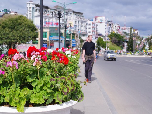 Da Lat, ciudad de hermosas flores - ảnh 2