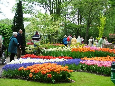 Da Lat, ciudad de hermosas flores - ảnh 1