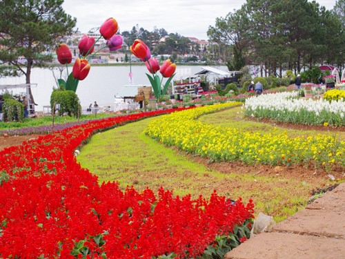 Da Lat, ciudad de hermosas flores - ảnh 4