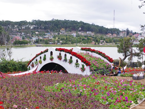 Da Lat, ciudad de hermosas flores - ảnh 3