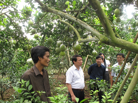 Binh Minh cumplirá pronto con la construcción rural - ảnh 1