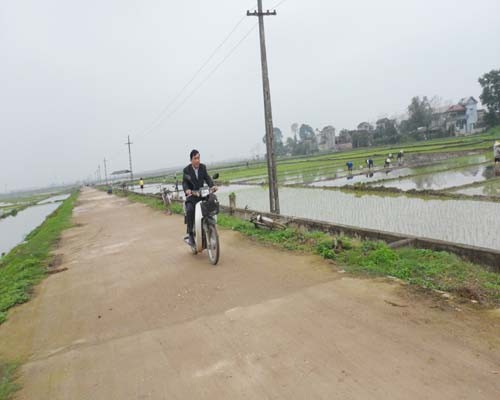 Comarca de Son Duong logra consenso en fomento campestre - ảnh 1