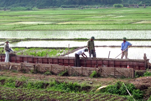 Comarca de Son Duong logra consenso en fomento campestre - ảnh 2