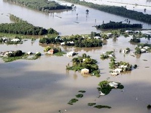 Vietnam celebra Día de la Prevención, Respuesta y Mitigación de desastres naturales - ảnh 1