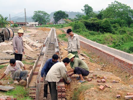 La alianza trae alta eficiencia en la producción de verduras de Quang Ninh - ảnh 2