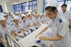 Vietnam y Japón fortalecen cooperación en salud  - ảnh 1